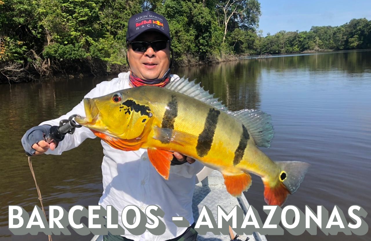 Nosso Destino - Barcelos/AM - Em busca dos Brutos