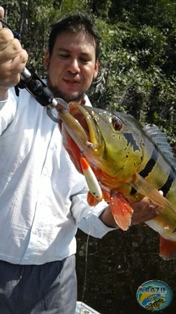 Fotos da pesca esportiva na regio Amazonica