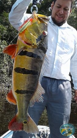 Fotos da pesca esportiva na regio Amazonica