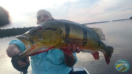 Fotos da pesca esportiva na regio Amazonica