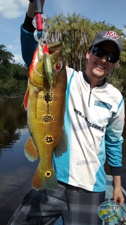 Fotos da pesca esportiva na regio Amazonica