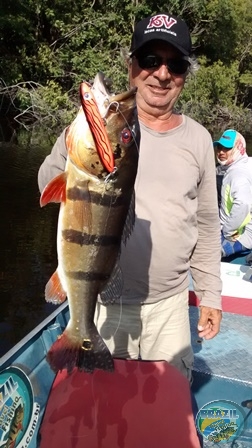 Fotos da pesca esportiva na regio Amazonica