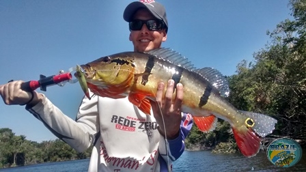 Fotos da pesca esportiva na regio Amazonica