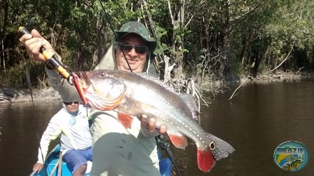 Fotos da pesca esportiva na regio Amazonica