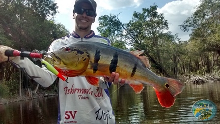 Fotos da pesca esportiva na regio Amazonica