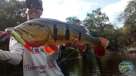 Fotos da pesca esportiva na regio Amazonica