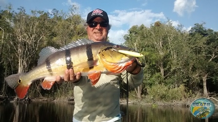 Fotos da pesca esportiva na regio Amazonica