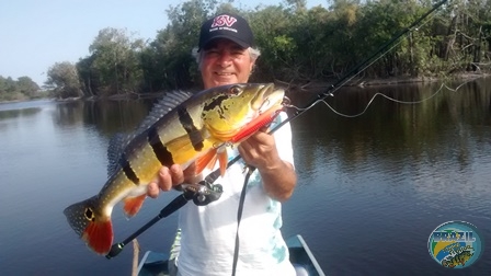 Fotos da pesca esportiva na regio Amazonica