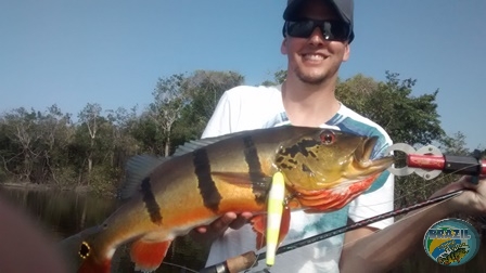 Fotos da pesca esportiva na regio Amazonica