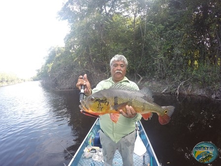 Fotos da pesca esportiva na regio Amazonica