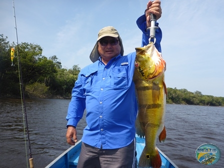 Fotos da pesca esportiva na regio Amazonica