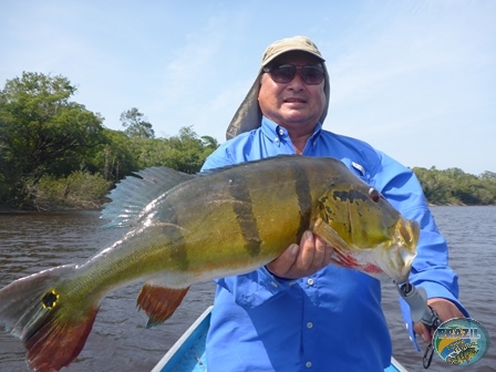 Fotos da pesca esportiva na regio Amazonica