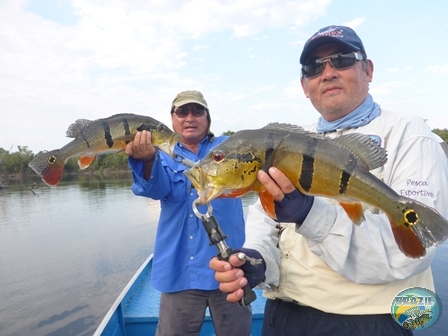 Fotos da pesca esportiva na regio Amazonica