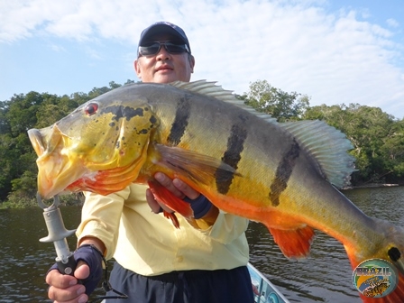 Fotos da pesca esportiva na regio Amazonica