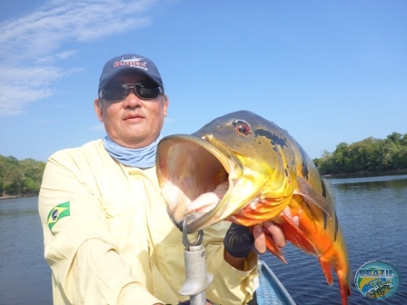 Fotos da pesca esportiva na regio Amazonica