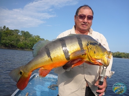 Fotos da pesca esportiva na regio Amazonica