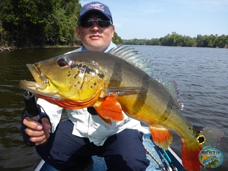 Fotos da pesca esportiva na regio Amazonica