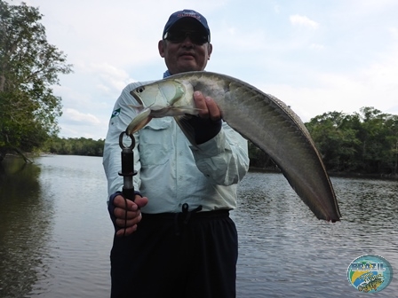 Fotos da pesca esportiva na regio Amazonica