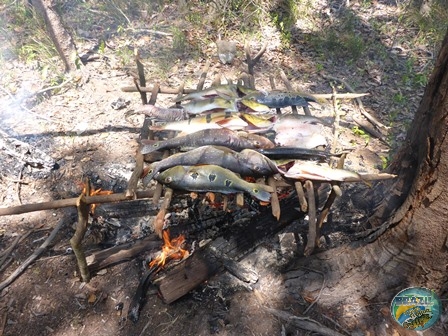 Fotos da pesca esportiva na regio Amazonica