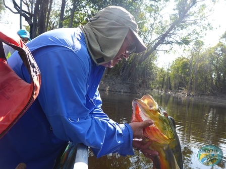 Fotos da pesca esportiva na regio Amazonica