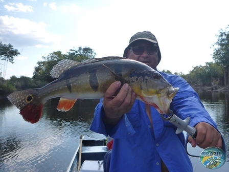 Fotos da pesca esportiva na regio Amazonica