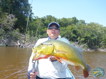 Fotos da pesca esportiva na regio Amazonica