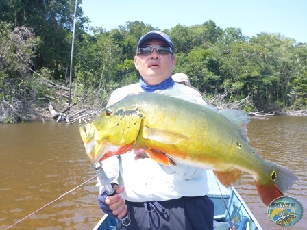 Fotos da pesca esportiva na regio Amazonica