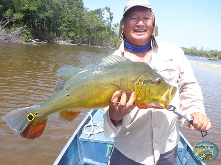 Fotos da pesca esportiva na regio Amazonica