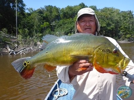 Fotos da pesca esportiva na regio Amazonica