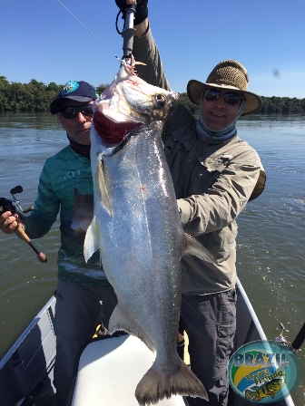 Fotos da pesca esportiva no rio Juruena