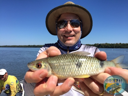 Fotos da pesca esportiva no rio Juruena