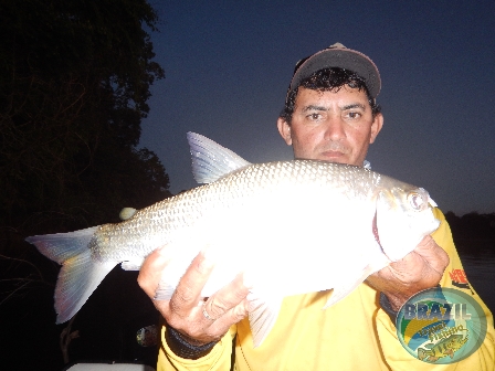 Fotos da pesca esportiva no rio Juruena