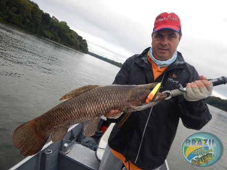 Fotos da pesca esportiva no rio Juruena