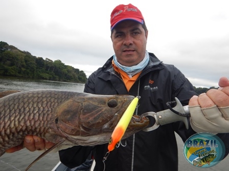 Fotos da pesca esportiva no rio Juruena