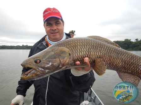 Fotos da pesca esportiva no rio Juruena