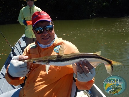 Fotos da pesca esportiva no rio Juruena