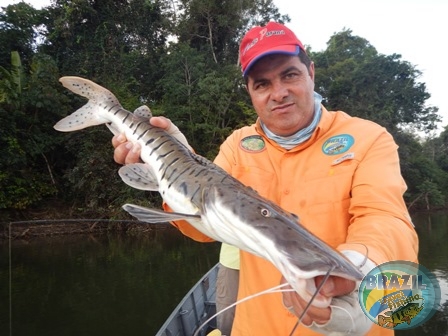 Fotos da pesca esportiva no rio Juruena