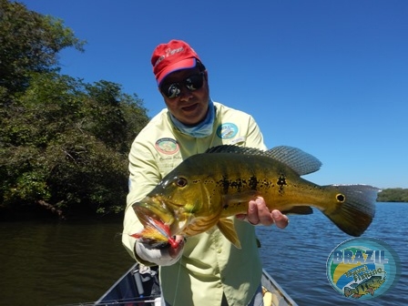 Fotos da pesca esportiva no rio Juruena