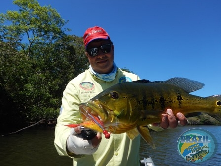 Fotos da pesca esportiva no rio Juruena