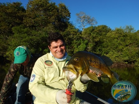 Fotos da pesca esportiva no rio Juruena