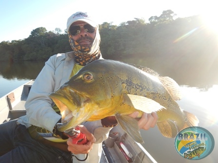 Fotos da pesca esportiva no rio Juruena