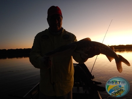 Fotos da pesca esportiva no rio Juruena