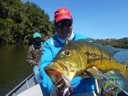 Fotos da pesca esportiva no rio Juruena