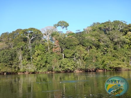 Fotos da pesca esportiva no rio Juruena