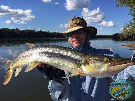 Fotos da pesca esportiva no rio Juruena