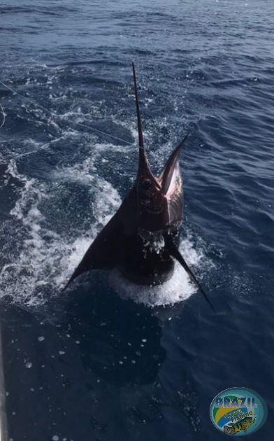 Fotos da pesca esportiva no Panam