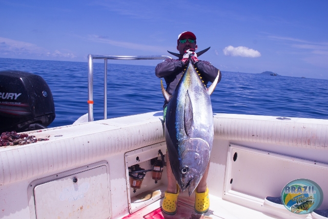 Fotos da pesca esportiva no Panam