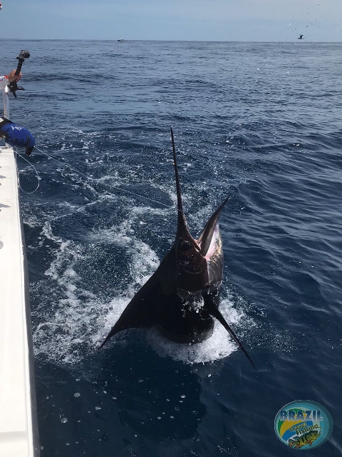 Fotos da pesca esportiva no Panam