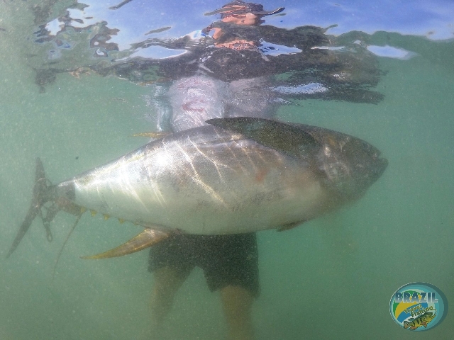 Fotos da pesca esportiva no Panam