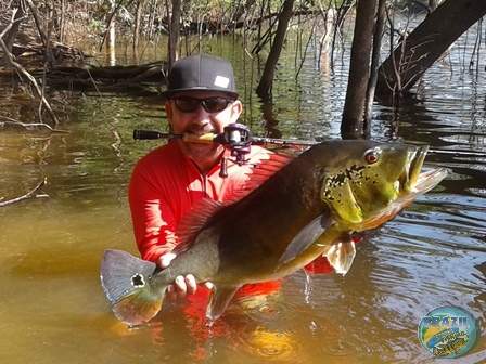 Fotos da pesca esportiva na regio Amaznica